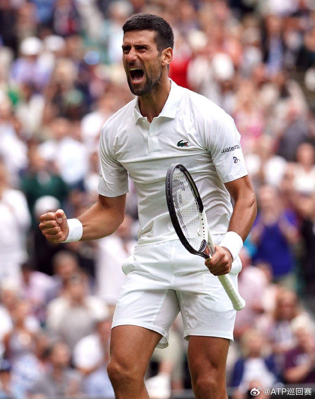 呼应打野入 呼应打野入